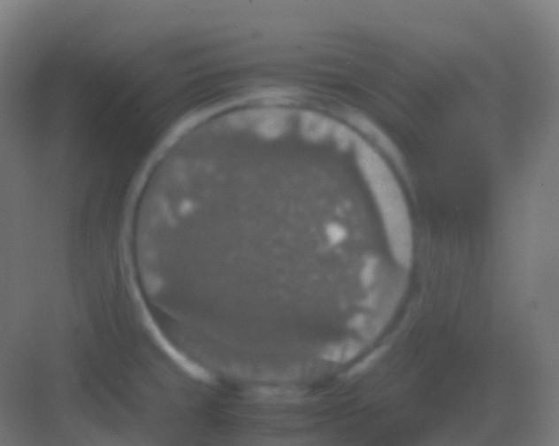 X0000081311429200702082059