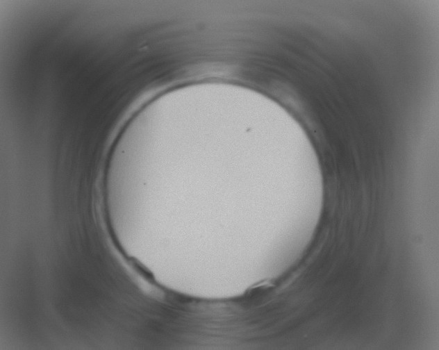 X0000081311432200702082059