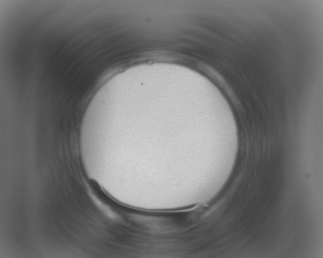 X0000081311433200702082059