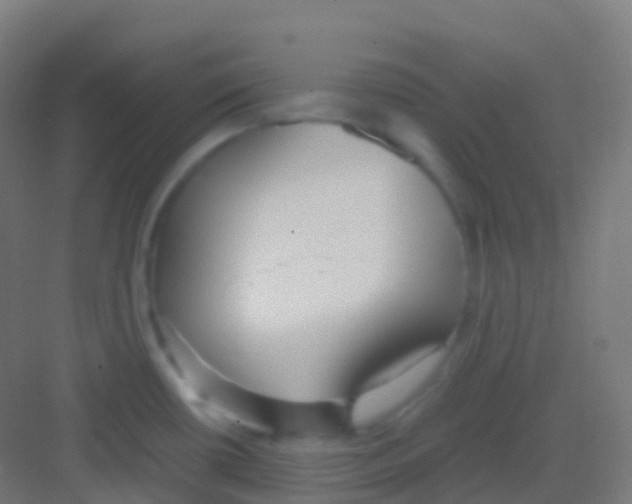 X0000081311434200702082059