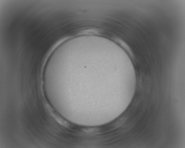 X0000081311435200702082059