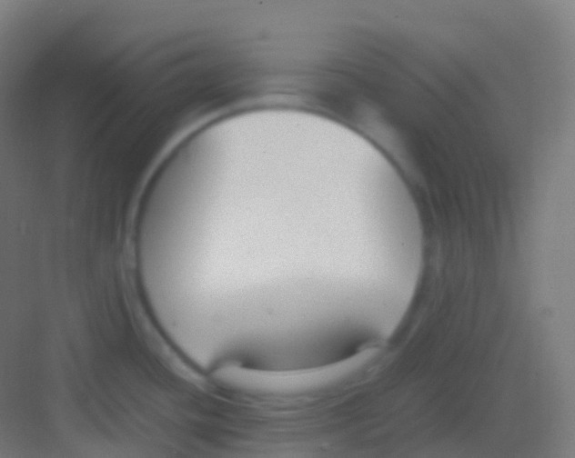 X0000081311436200702082059