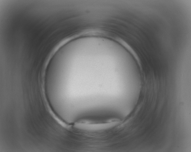 X0000081311437200702082059