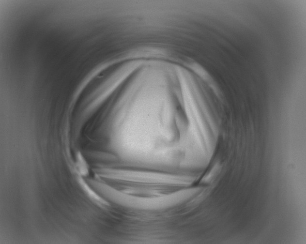 X0000081311438200702082059