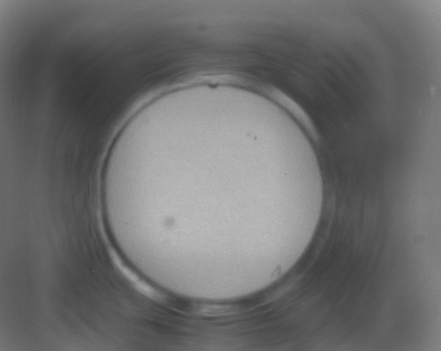 X0000081311439200702082059