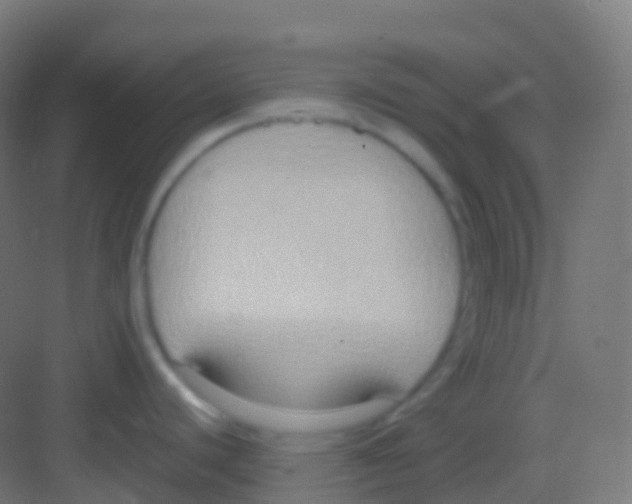 X0000081311440200702082059