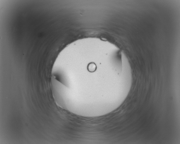 X0000081311441200702082058