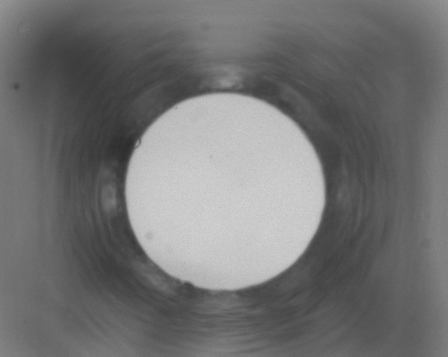 X0000081311442200702082058