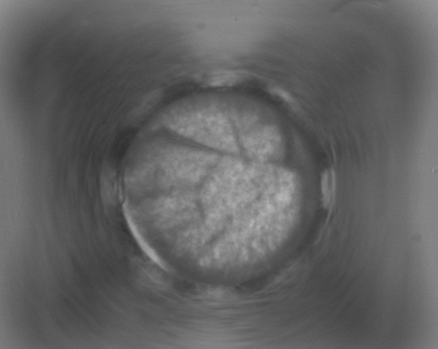 X0000081311443200702082058