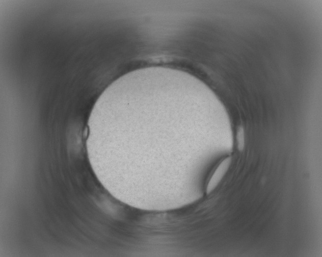 X0000081311444200702082058