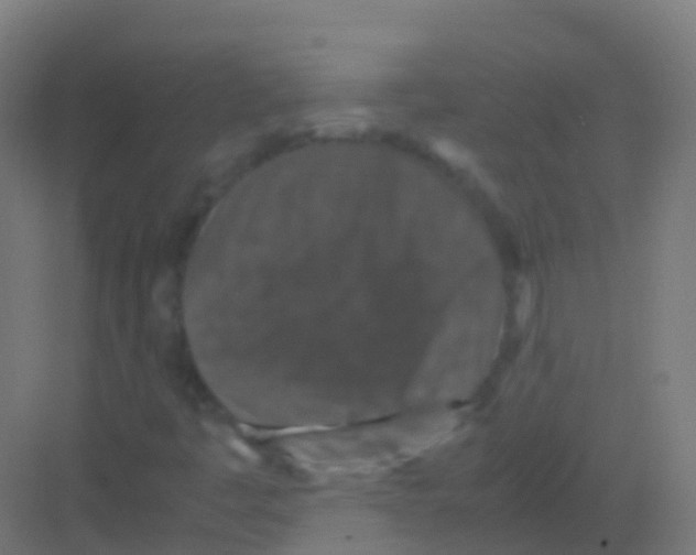 X0000081311445200702082058