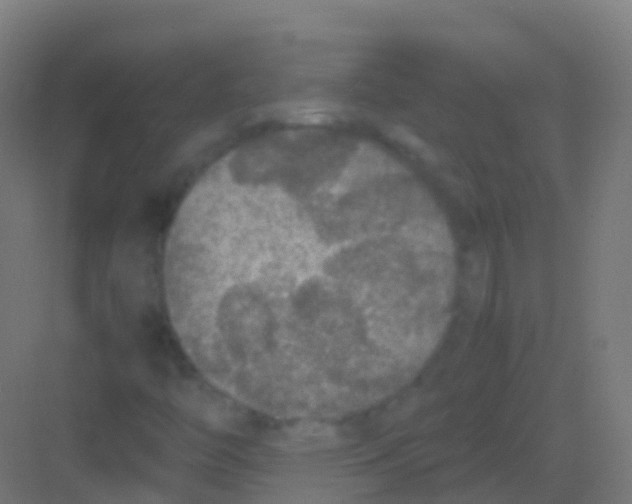 X0000081311446200702082058