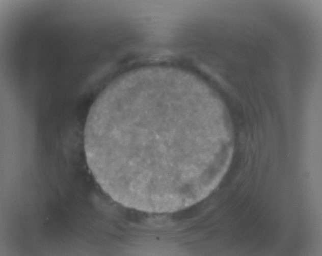 X0000081311447200702082058