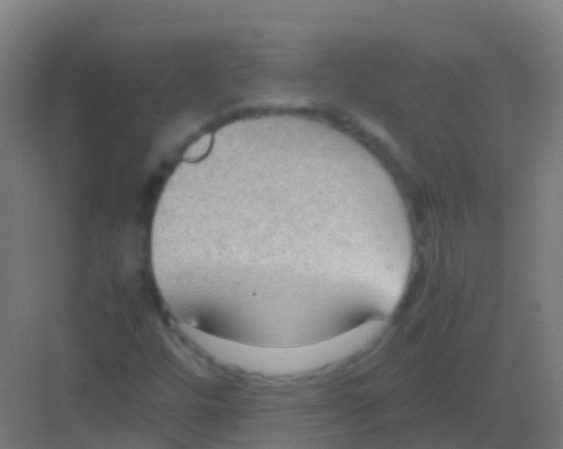 X0000081311448200702082058