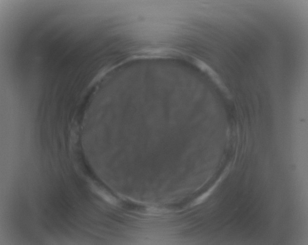 X0000081311449200702082058