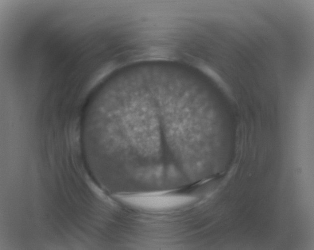 X0000081311450200702082058