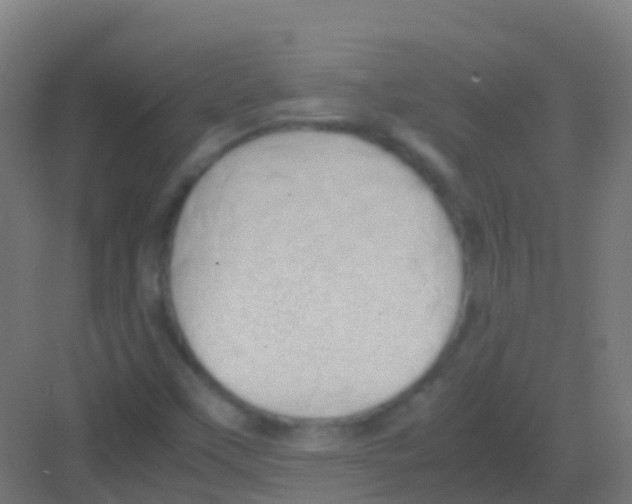 X0000081311451200702082058