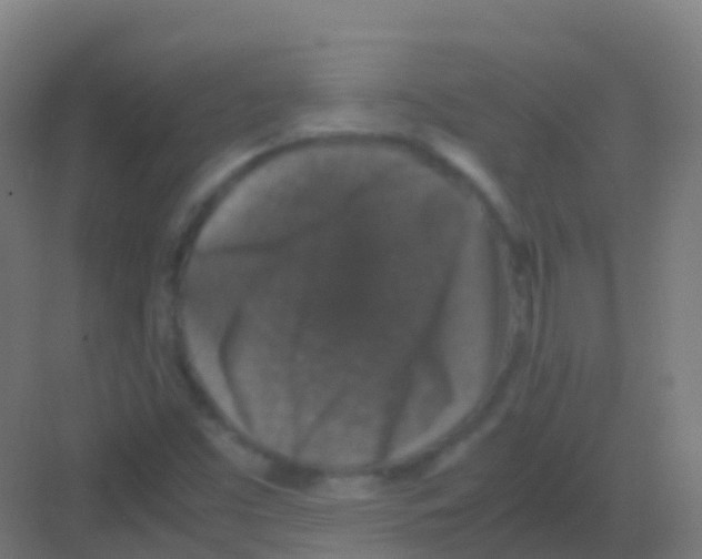 X0000081311453200702082058