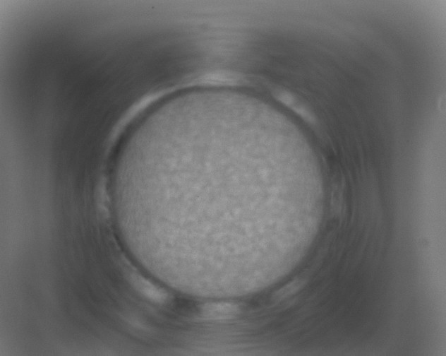 X0000081311454200702082058