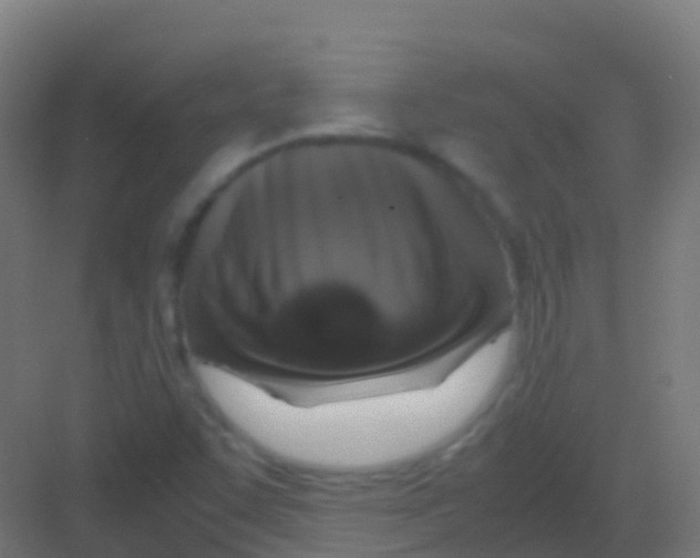 X0000081311455200702082058