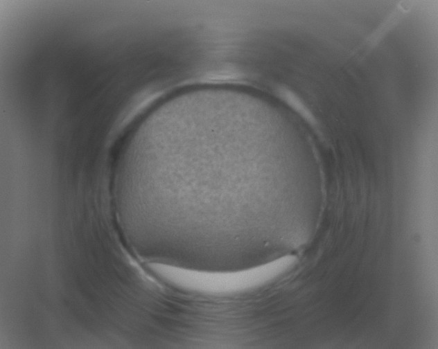 X0000081311456200702082058