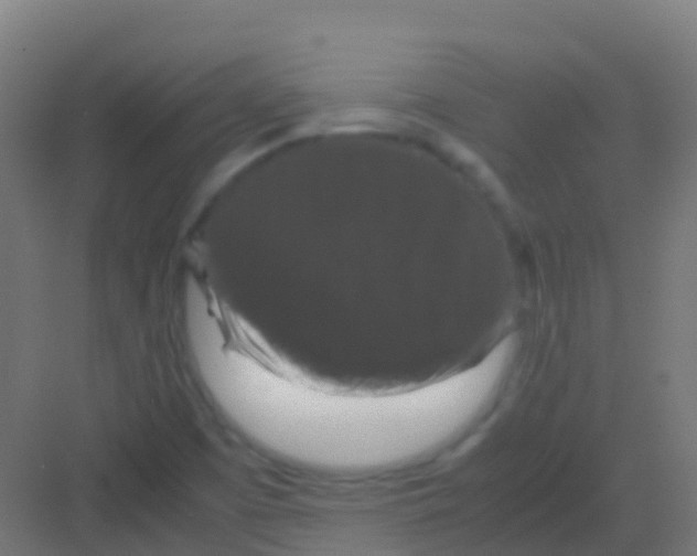 X0000081311457200702082058