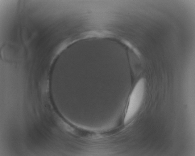 X0000081311459200702082058