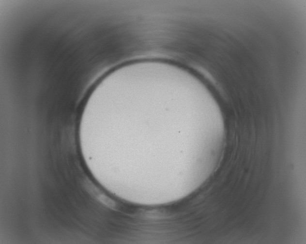 X0000081311460200702082058