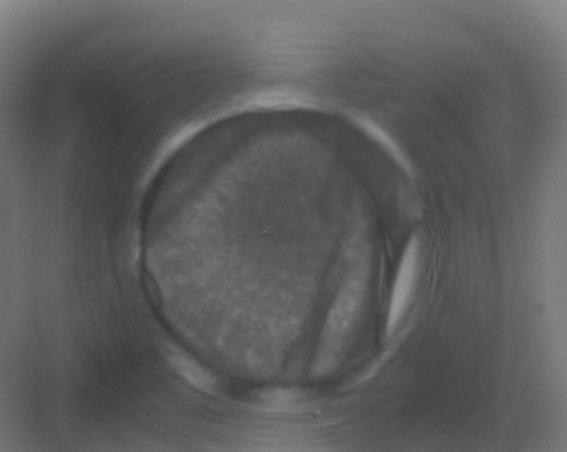 X0000081311461200702082058