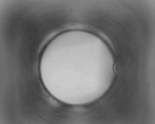 X0000081311464200702082057