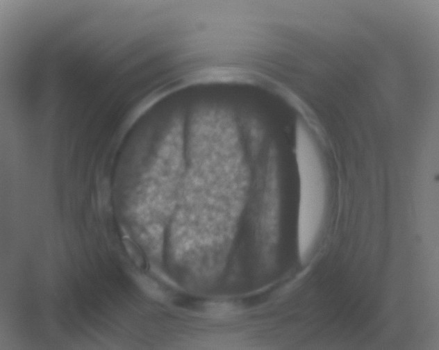 X0000081311465200702082057