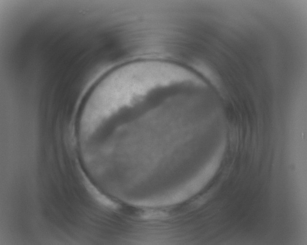 X0000081311466200702082057