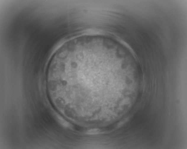 X0000081311467200702082057