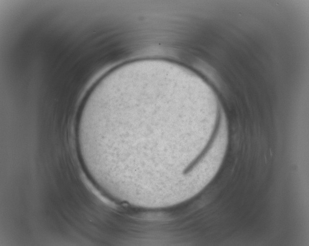 X0000081311468200702082057