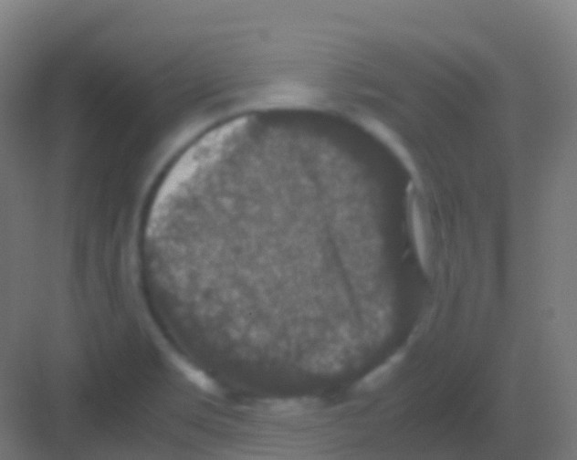 X0000081311469200702082057