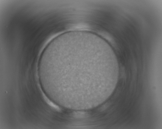 X0000081311470200702082057