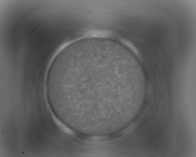 X0000081311471200702082057