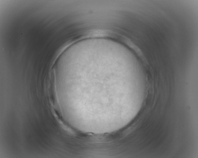 X0000081311473200702082057