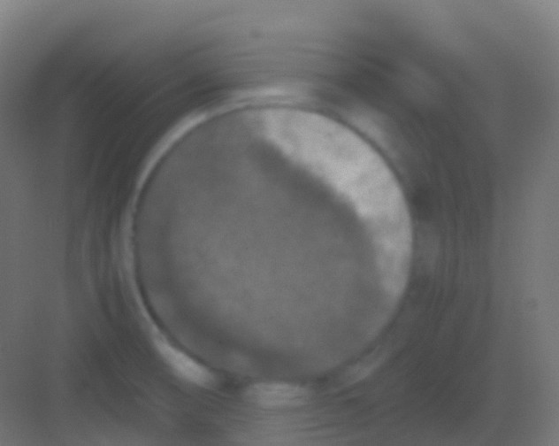 X0000081311474200702082057