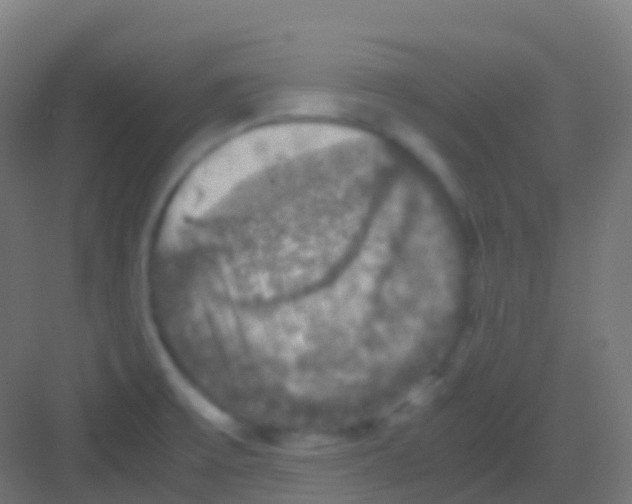 X0000081311475200702082057