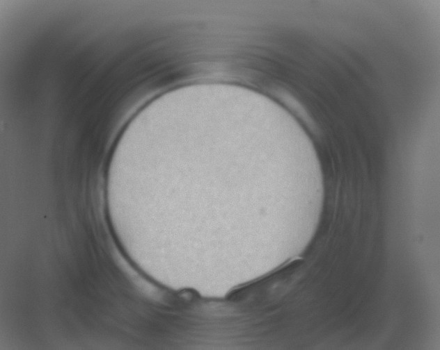 X0000081311476200702082057