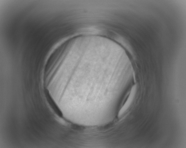 X0000081311477200702082057