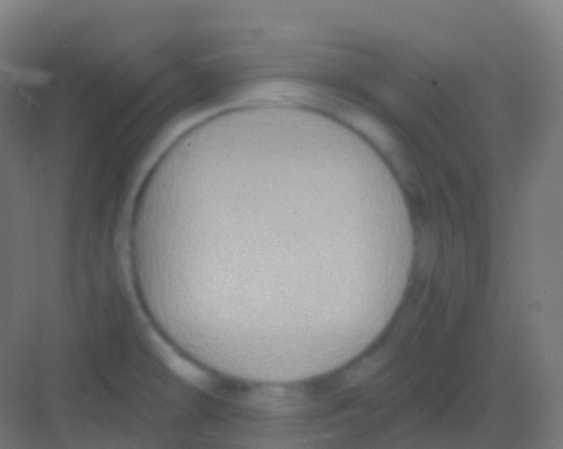 X0000081311478200702082057