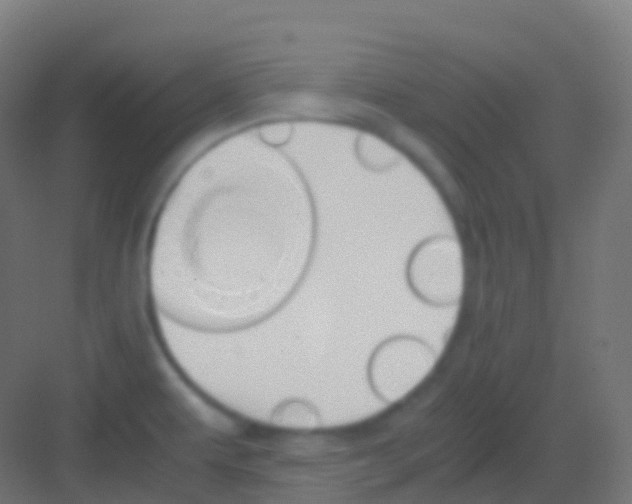 X0000081311479200702082057