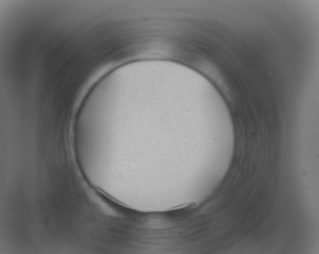 X0000081311480200702082057