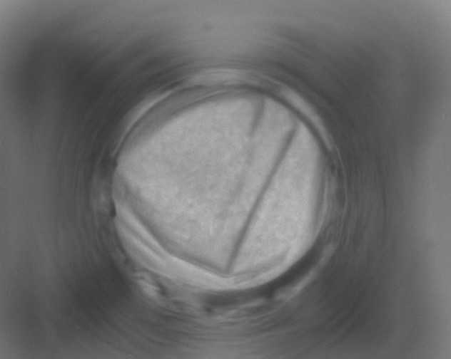 X0000081311481200702082057