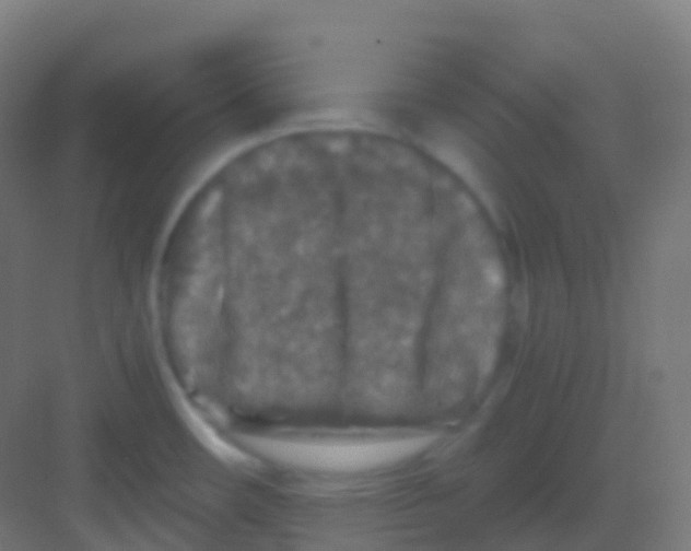 X0000081311482200702082057