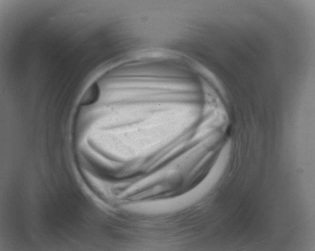 X0000081311483200702082057