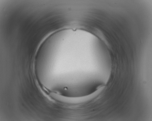 X0000081311484200702082057