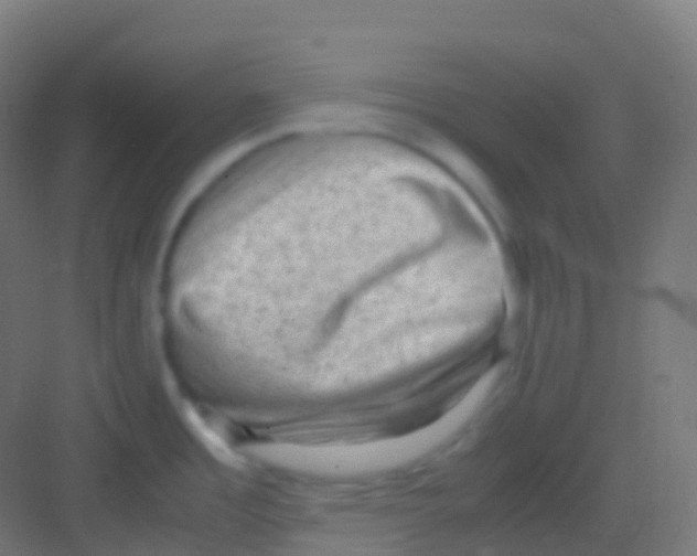 X0000081311485200702082057